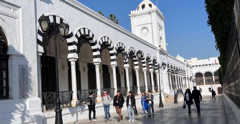 Tunis: Medina, Carthage, Sidi Bou Said, Bardo Private Tour - Inclusions and Amenities