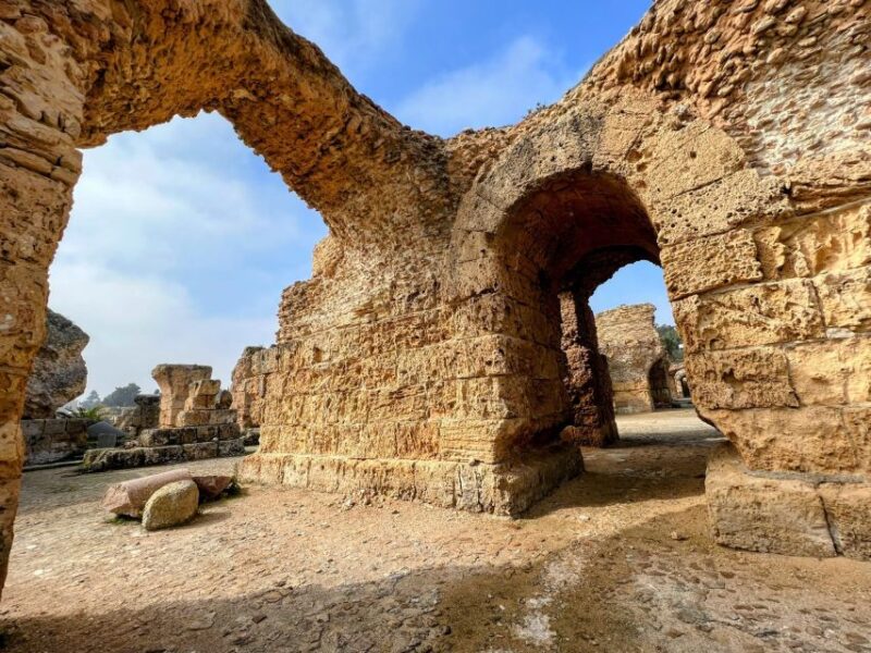 Tunis Medina, Carthage, Sidi Bou Said Shore Excursion - Key Points