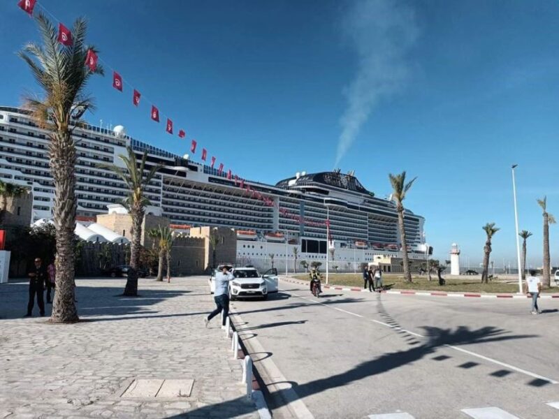 Tunis Medina, Carthage, Sidi Bou Said Shore Excursion - Included Amenities