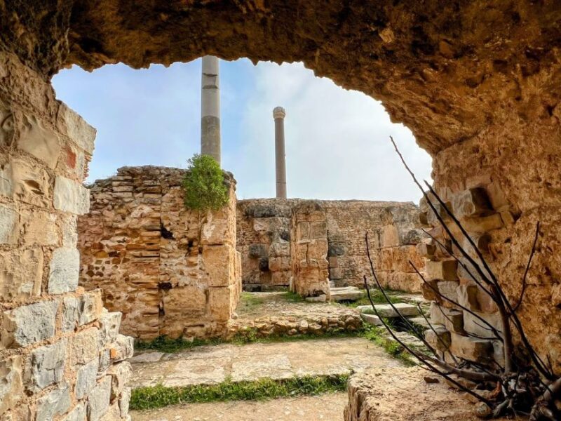 Tunis Medina, Carthage, Sidi Bou Said Shore Excursion - What to Expect
