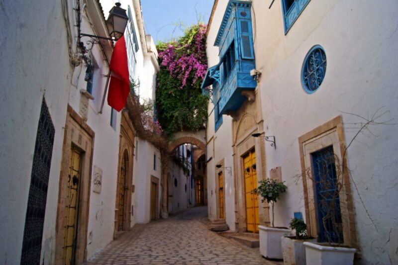 Tunis Port: Medina and City Tour for Cruise Ship Passengers - Highlights of the Tour