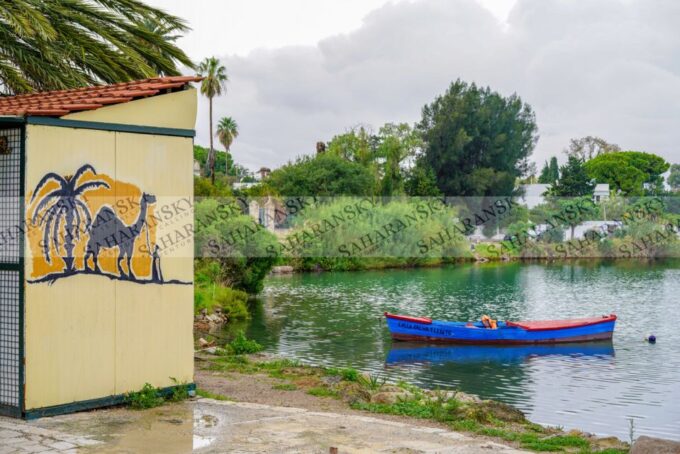 Tunis: Private Full-Day Tunis Highlights Tour - Inclusions of the Tour