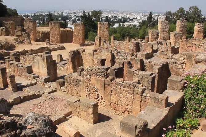 Tunis, Sidi Bousaid and Carthage Day Trip From Monastir - Accessibility and Group Size