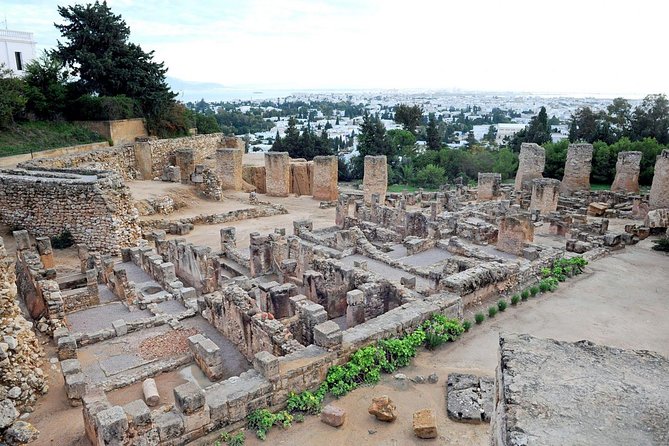 Tunis, Sidi Bousaid and Carthage Day Trip From Monastir - Professionalism and Personalized Experience