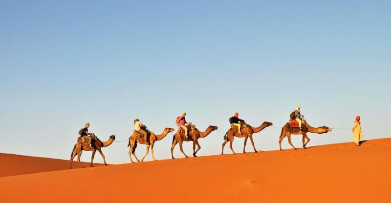 Tunisia: 3-Day Sahara Desert Camel Trek From Douz - Culinary Experiences