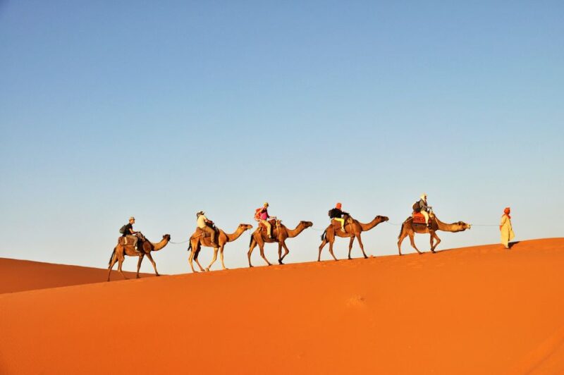Tunisia: 3-Day Sahara Desert Camel Trek From Douz - What to Expect