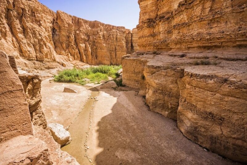 Tunisia: 5-Day Private Discovery Tour - Key Attractions to Explore