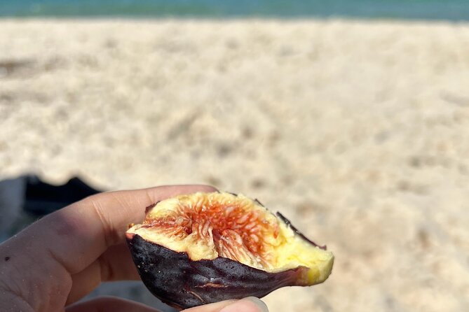 Tunisian Cooking Class in Sousse - Accessibility and Cancellation Policy