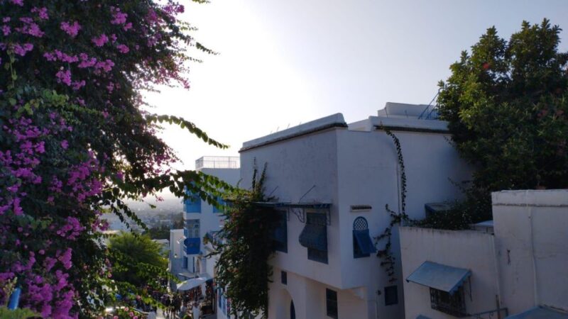 TunisiaTour8Days - Day-by-Day Itinerary