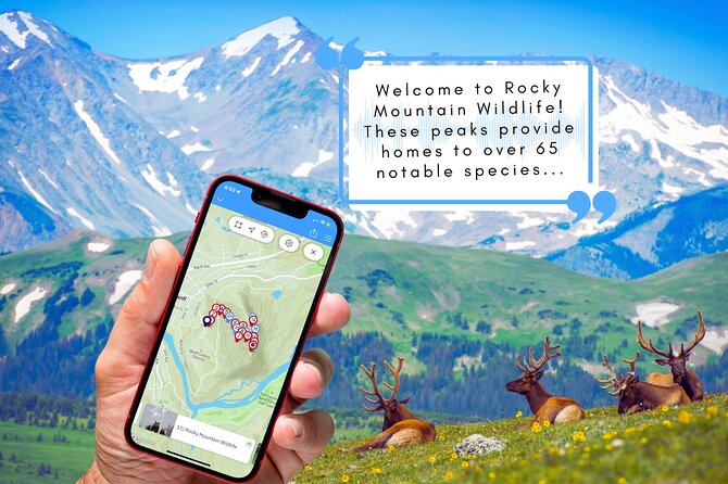 Tunnel Mountain Trail: a Smartphone Audio Nature Tour - Key Features and Accessibility