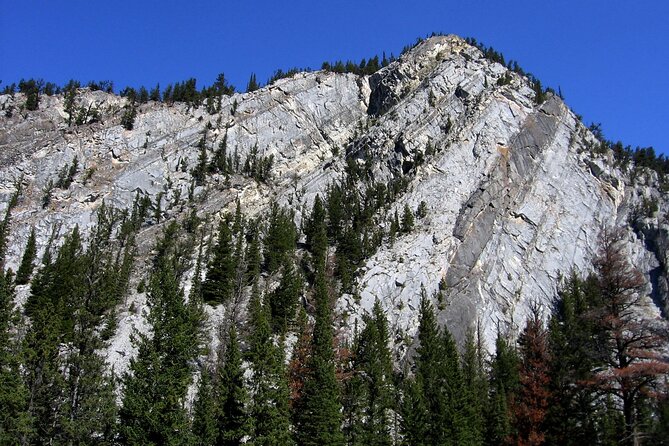 Tunnel Mountain Trail: a Smartphone Audio Nature Tour - Meeting Point and Schedule
