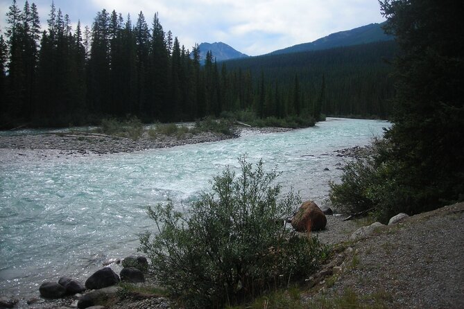 Tunnel Mountain Trail: a Smartphone Audio Nature Tour - What to Expect on the Tour
