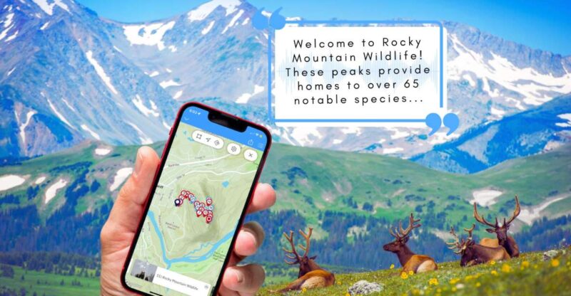 Tunnel Mountain Trail: Nature Tour With Audio Guide - Key Points