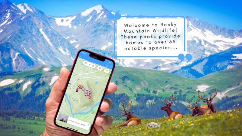 Tunnel Mountain Trail: Nature Tour With Audio Guide - Experience Highlights