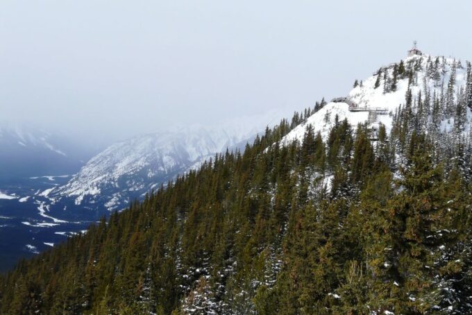 Tunnel Mountain Trail: Nature Tour With Audio Guide - Pricing and Availability