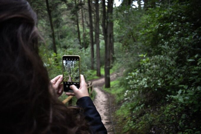 Tunnel Mountain Trail: Nature Tour With Audio Guide - Trail Description