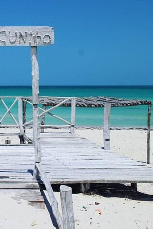 Tuquesa: Las Coloradas, Ria Lagartos, and Merida Beach Tour - Key Points