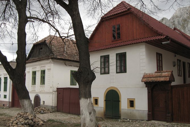 Turda Salt Mine, Rimetea Village & Alba Iulia (1 Day, From Cluj) - Health and Safety Information
