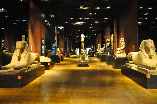 Turin Egyptian Museum Entry Ticket Including Special Exhibits - Admission Details