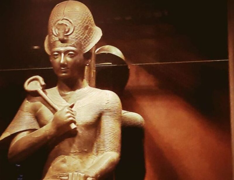 Turin: Egyptian Museum Tour With Skip-The-Line Entry - Inclusions and Restrictions