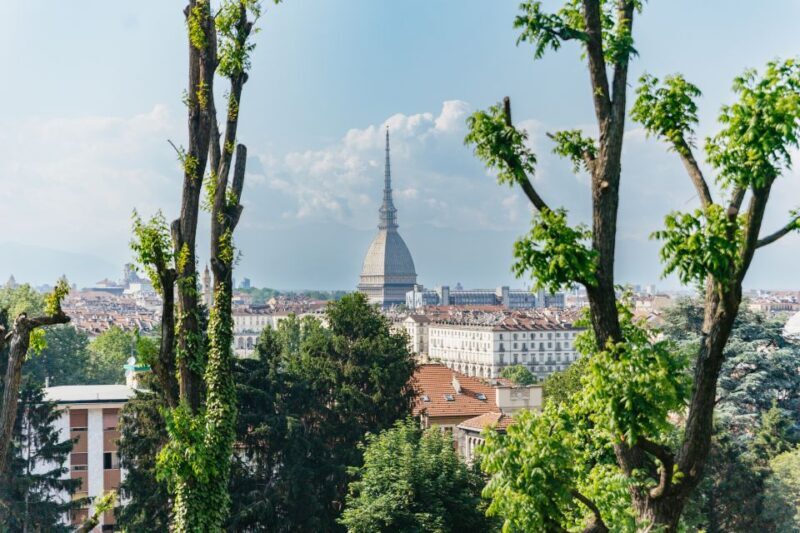 Turin: Hop-On Hop-Off Bus Tour With 24 or 48-Hour Ticket - Overview of the Tour Options