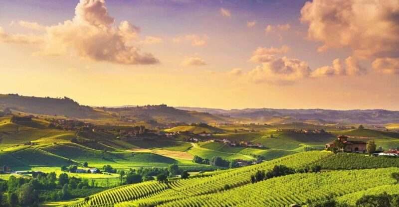 Turin: Langhe Wine Tour With Private Transfers and Lunch - Tour Highlights