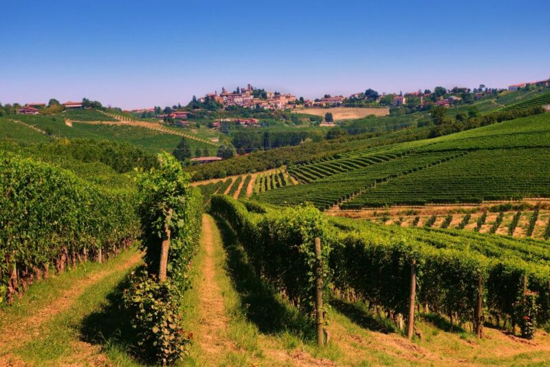 Turin: Langhe Wine Tour With Private Transfers and Lunch - Itinerary Details