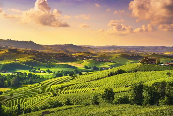 Turin: Langhe Wine Tour With Private Transfers and Lunch - Exploring the Historic Hamlet