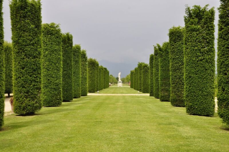 Turin: Palace of Venaria Guided Tour - Exploring Baroque Architecture