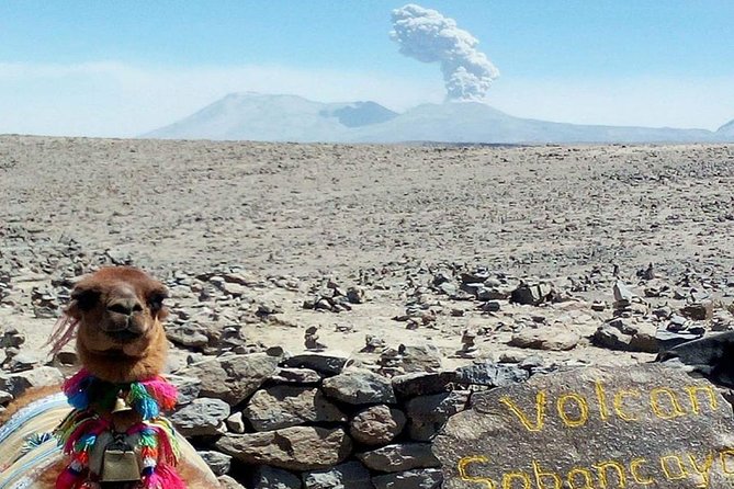 Turist Bus Colca Canyon (Chivay) To Puno - Guided Sightseeing