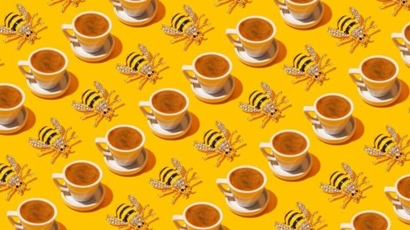 Turkish Coffee Fortune Ceremony - Key Points