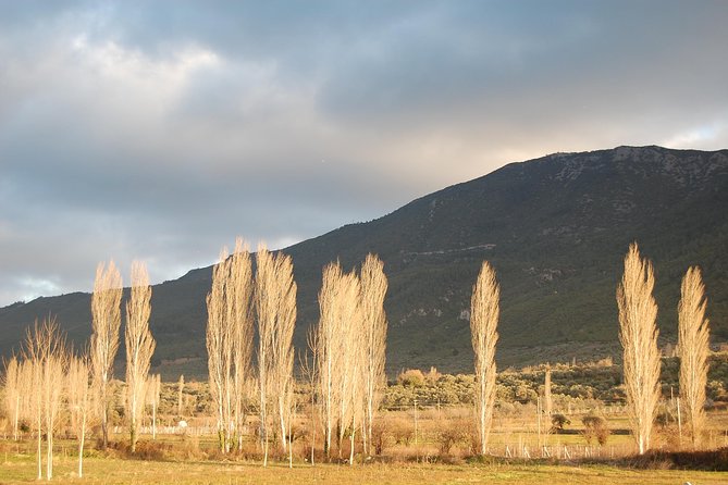 Turkish Villages and Local Life From Izmir - Exploring Kirazli Village