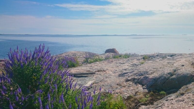 Turku Archipelago: Sea Kayaking Day Tour - Meeting Point and Transportation