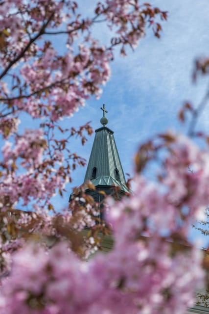 Turku: Private Guided Tour - Itinerary and Activities