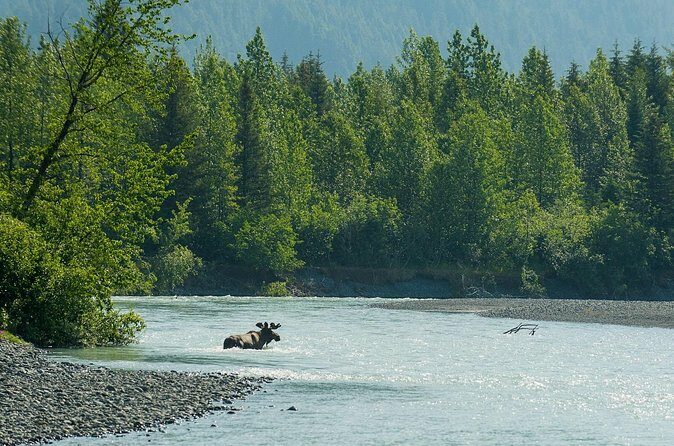 Turnagain Arm Highlights Photo Tour - In The Sum Up
