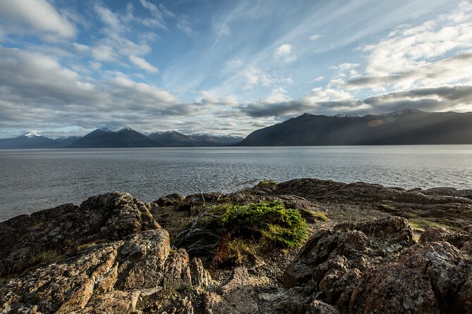 Turnagain Arm Sightseeing Experience and Wildlife Tour - Comfort-First Experience