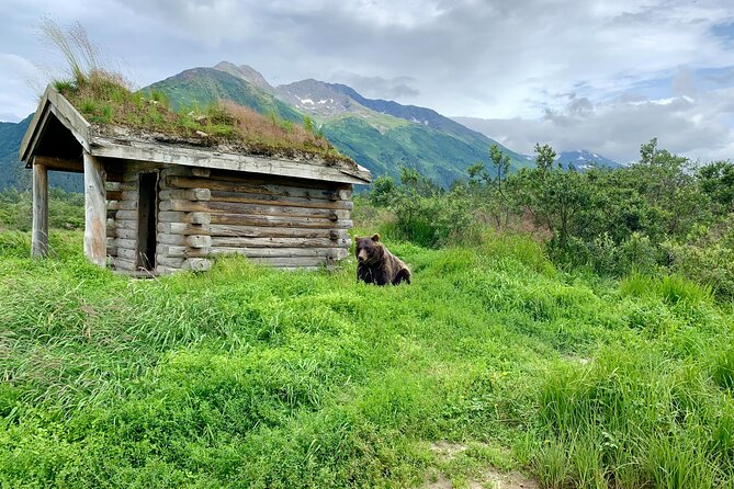 Turnagain Arm Sightseeing Experience and Wildlife Tour - Pickup and Tour Logistics