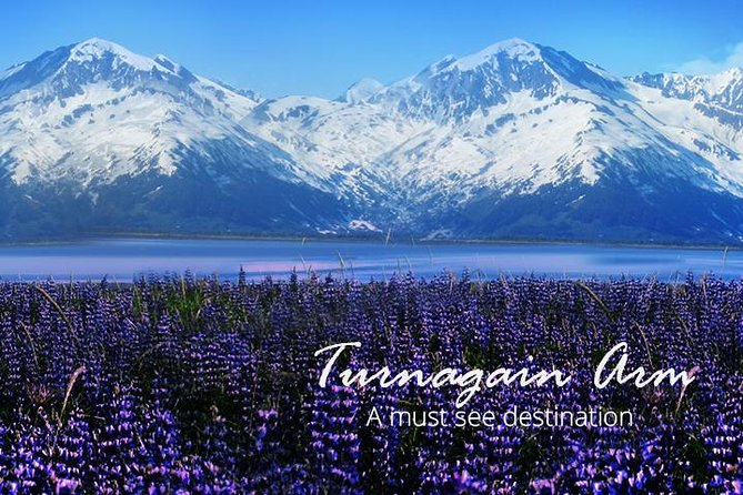 Turnagain Arm Tour: A Must See Destination - Key Points