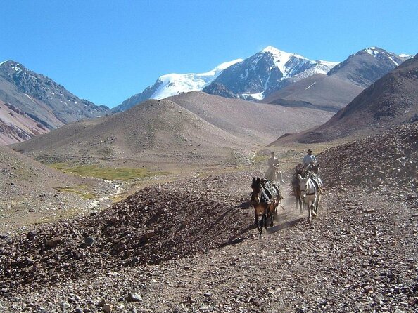 Turquoise Barreal Creek Trekking - Key Points