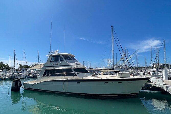 Turtle and Ocean Wildlife Snorkeling Adventure! - Spotting Dolphins and Sea Turtles