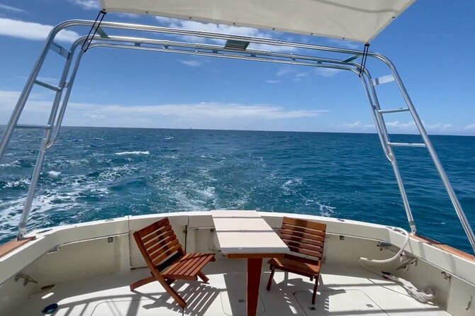 Turtle and Ocean Wildlife Snorkeling Adventure! - Scenic Honolulu Coast Views