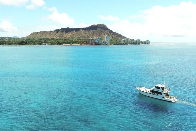 Turtle and Ocean Wildlife Snorkeling Adventure! - Fresh Local Refreshments Included