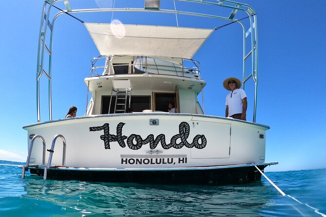 Turtle and Ocean Wildlife Snorkeling Adventure! - Small Group for Personalized Experience