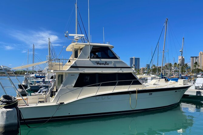 Turtle and Ocean Wildlife Snorkeling Adventure! - Convenient Harbor Meeting Location