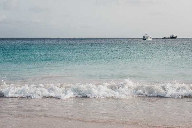 Turtle and Shipwreck Snorkel Private Tour in Barbados - What to Bring