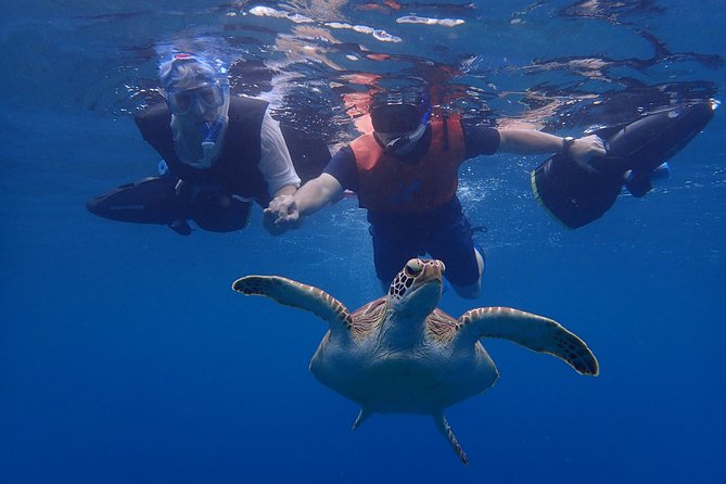 Turtle Beach Power Snorkeling Adventure - Safety and Accessibility