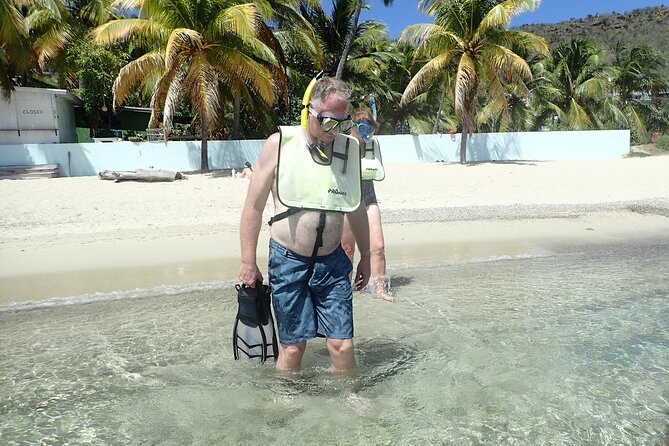 Turtle Beach Power Snorkeling Adventure - Customer Feedback and Highlights