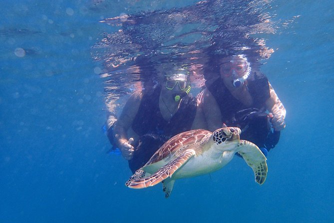 Turtle Beach Power Snorkeling Adventure Pickup Excluded - About Your Stay