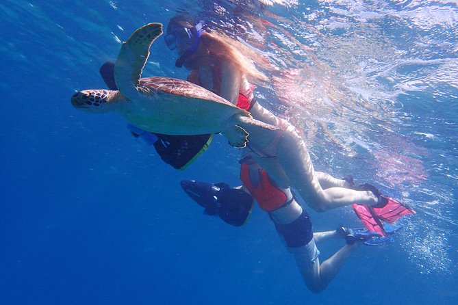 Turtle Beach Power Snorkeling Adventure Pickup Excluded - Inclusions and Exclusions