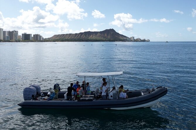 Turtle Canyon Snorkel (Semi Private Boat Tours) - Accessibility and Restrictions